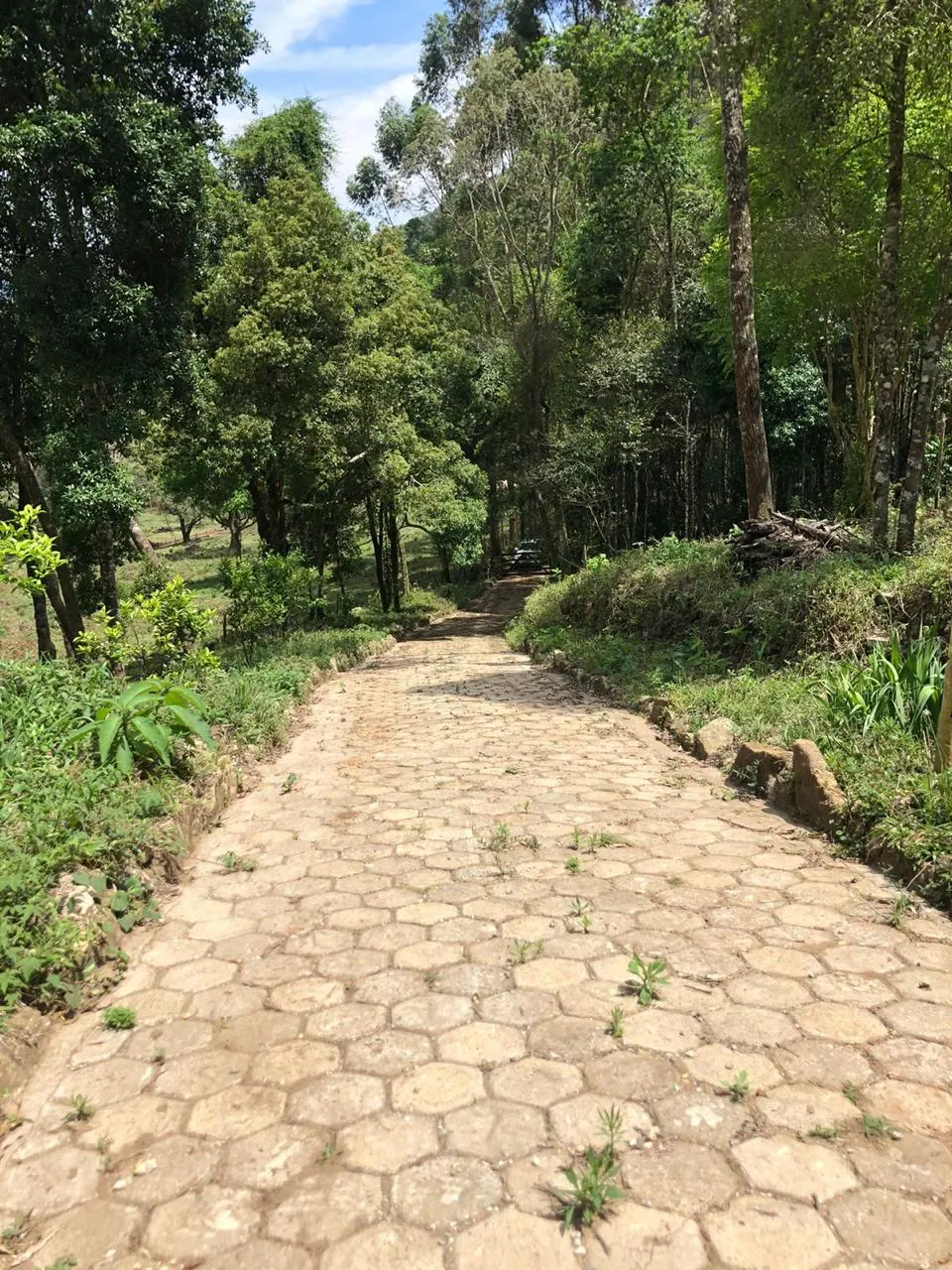 Sítio à venda de 14 ha em Alagoa, MG, Brasil