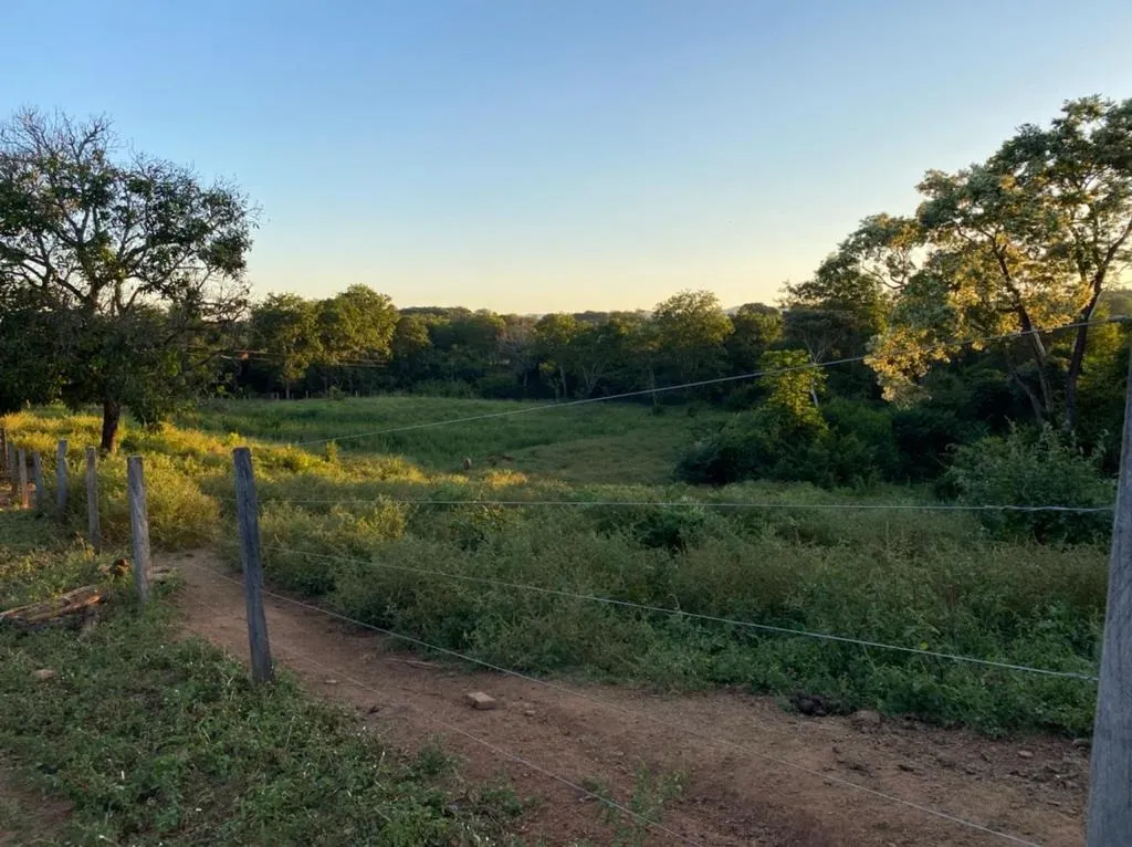 Farm for sale of 52 acres in Paracatu, MG, Brazil