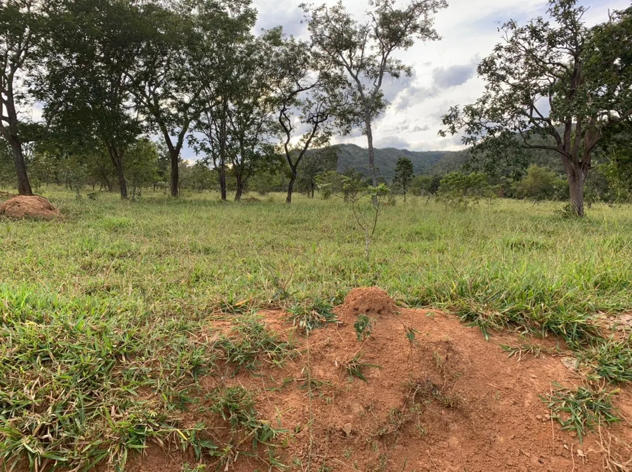 Farm for sale of 52 acres in Paracatu, MG, Brazil