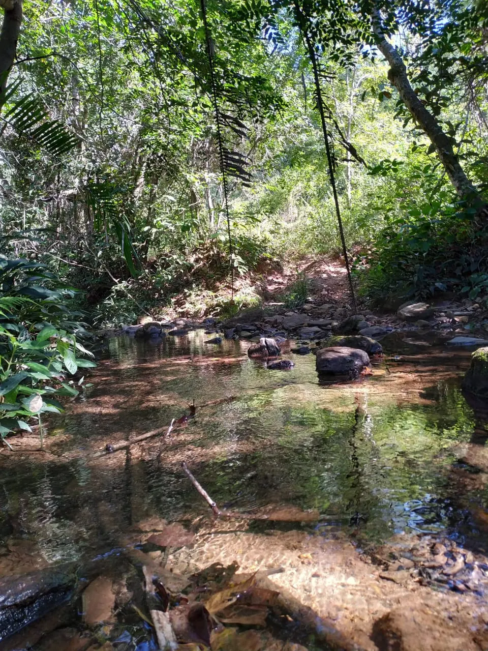 Farm for sale of 52 acres in Paracatu, MG, Brazil