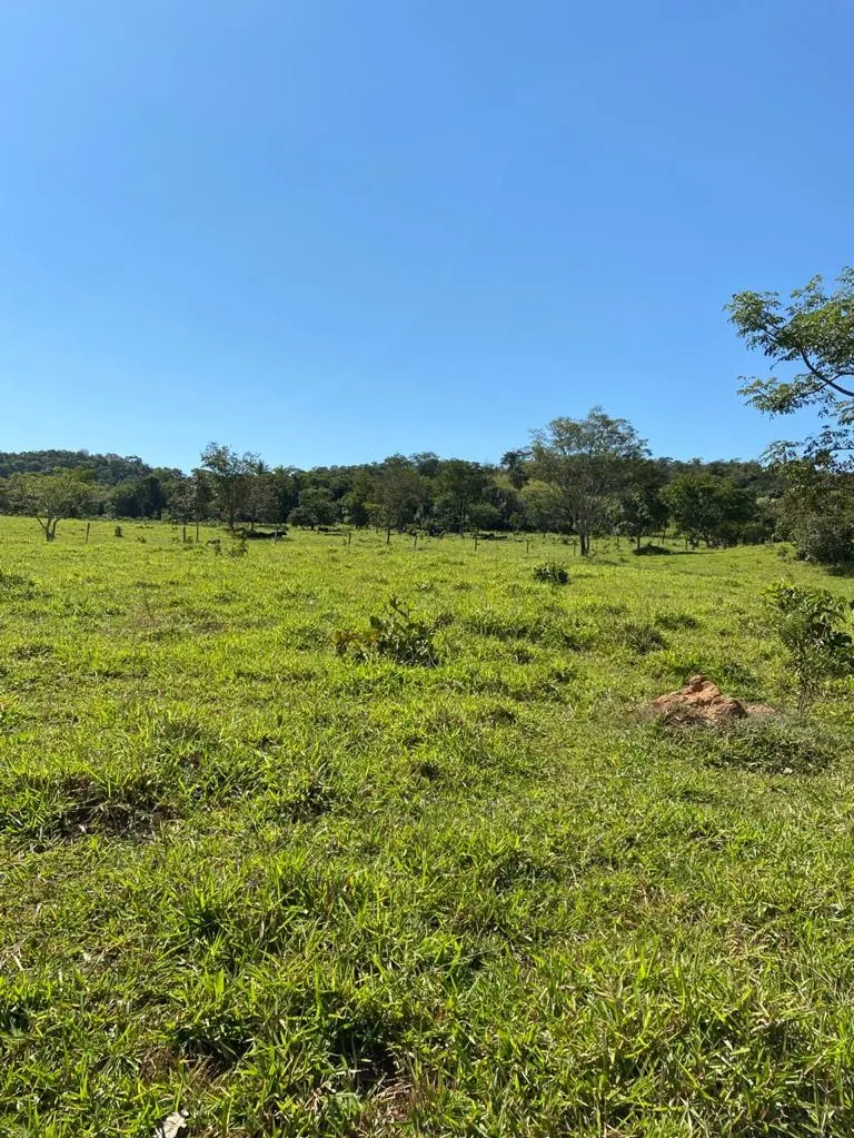 Farm for sale of 52 acres in Paracatu, MG, Brazil