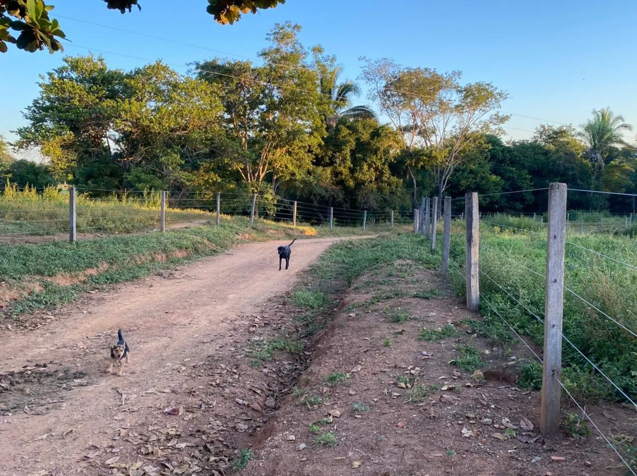 Farm for sale of 52 acres in Paracatu, MG, Brazil