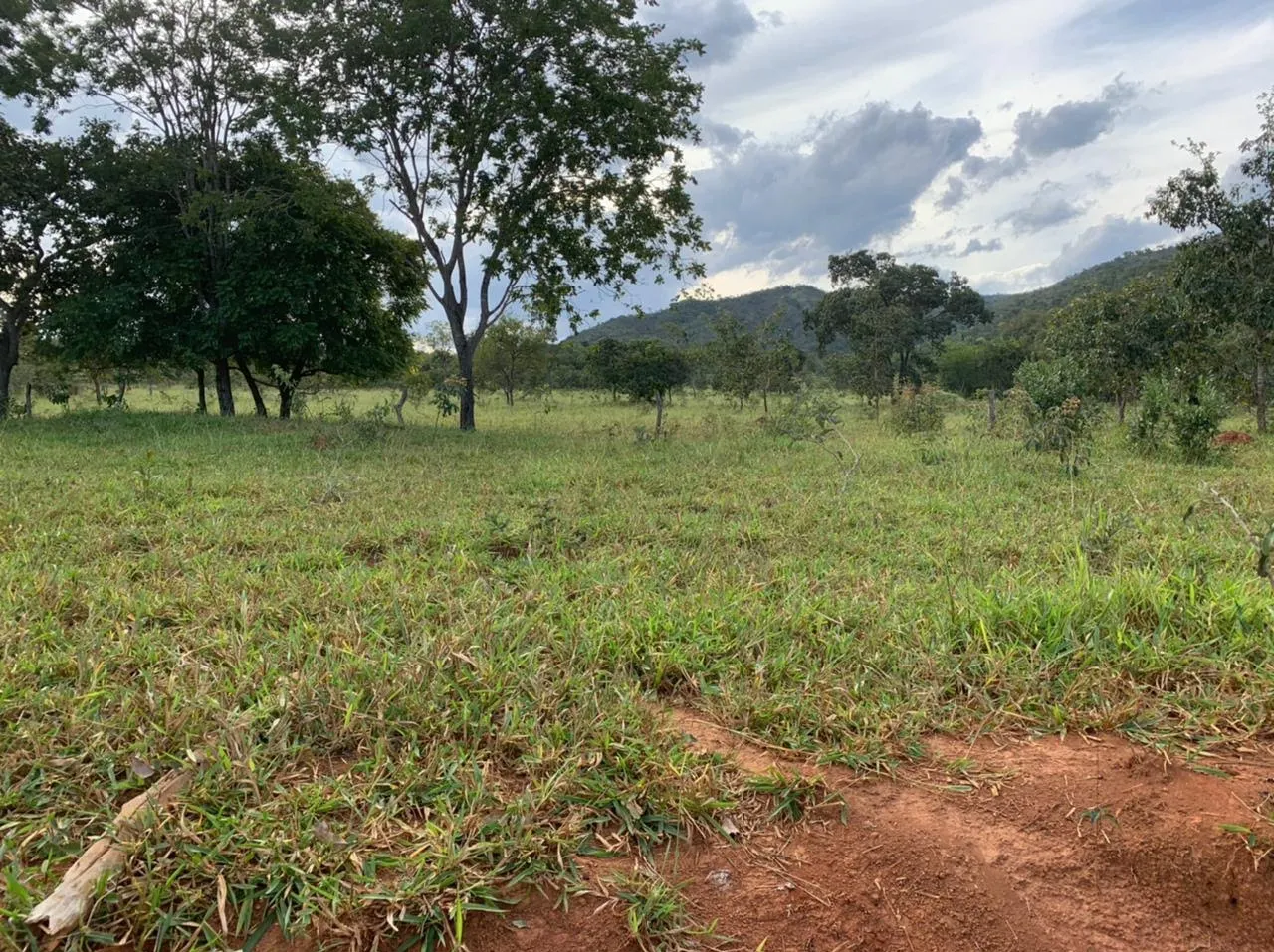 Farm for sale of 52 acres in Paracatu, MG, Brazil