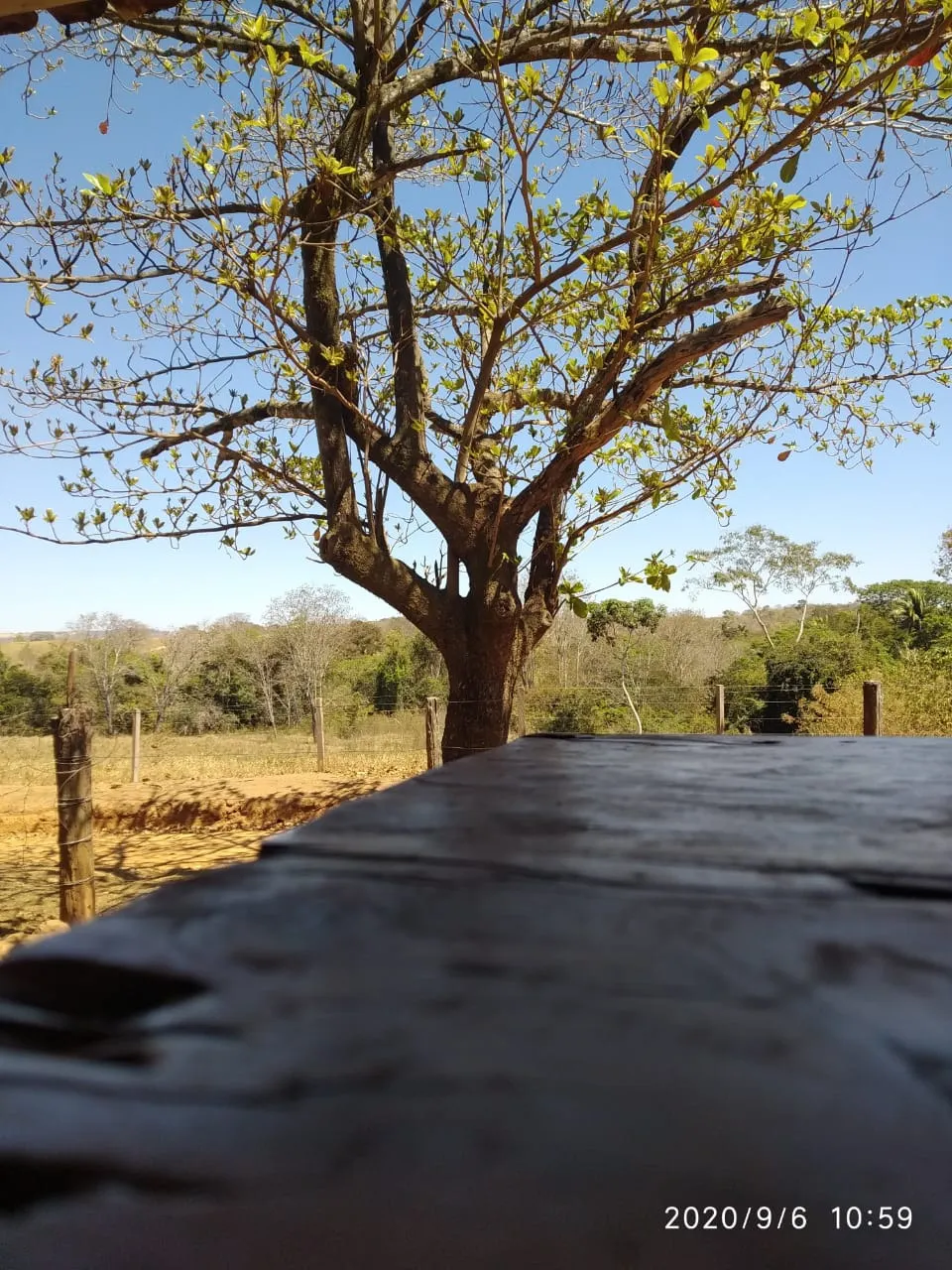 Farm for sale of 52 acres in Paracatu, MG, Brazil