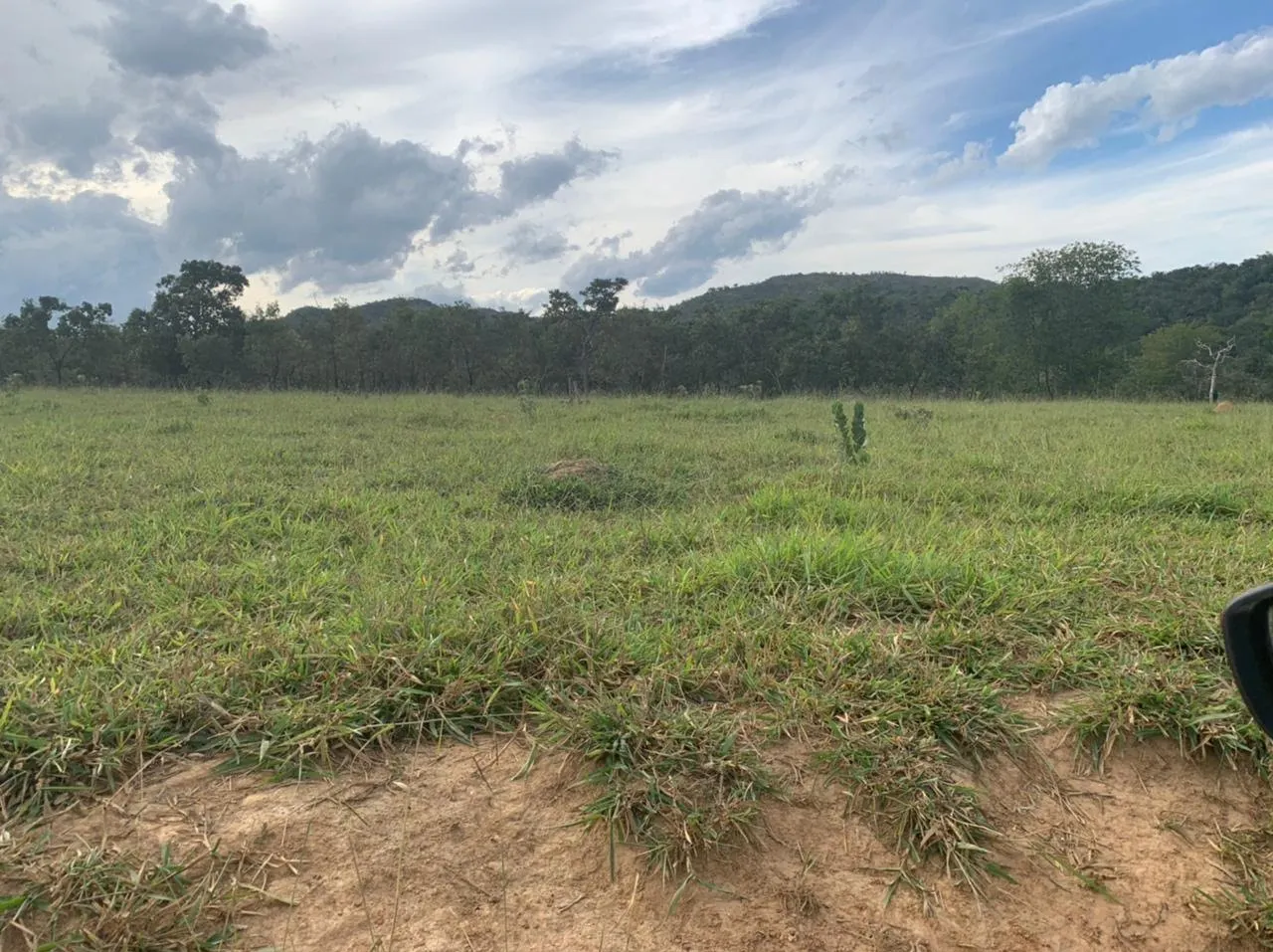 Farm for sale of 52 acres in Paracatu, MG, Brazil
