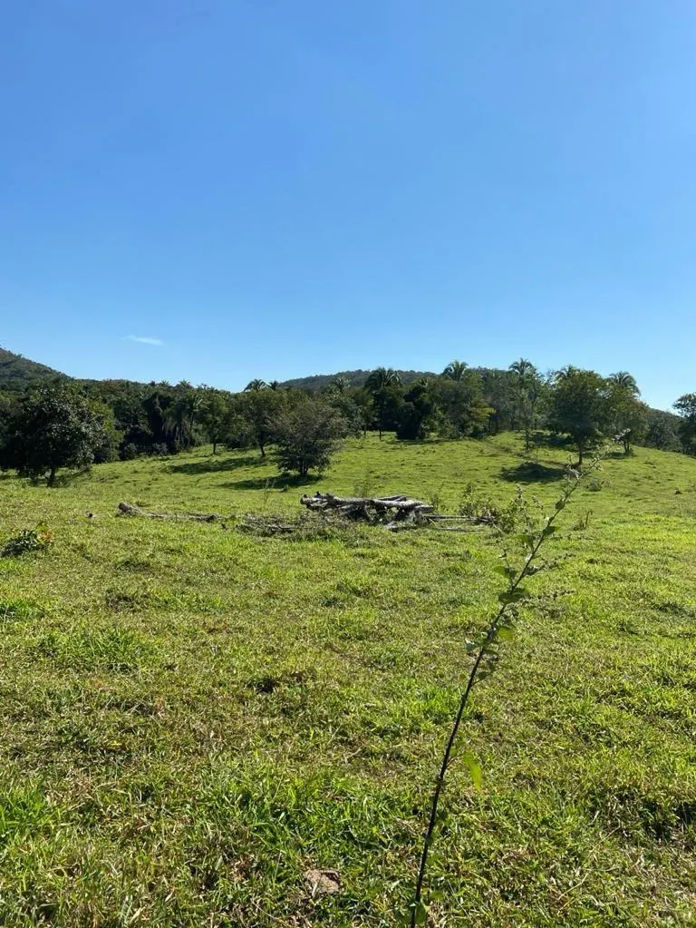 Farm for sale of 52 acres in Paracatu, MG, Brazil
