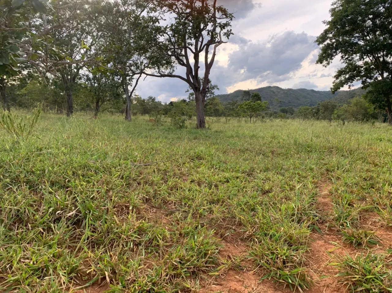 Farm for sale of 52 acres in Paracatu, MG, Brazil