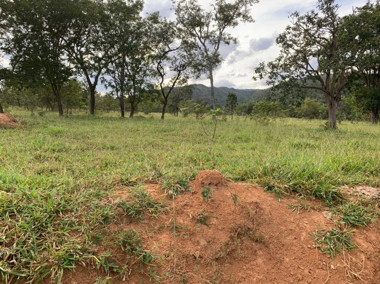 Farm for sale of 52 acres in Paracatu, MG, Brazil