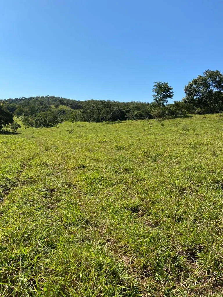 Farm for sale of 52 acres in Paracatu, MG, Brazil