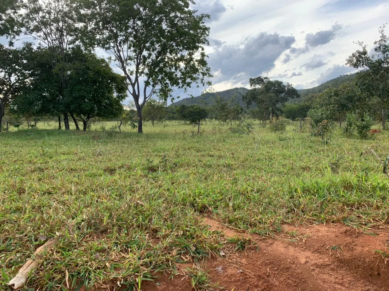 Farm for sale of 52 acres in Paracatu, MG, Brazil