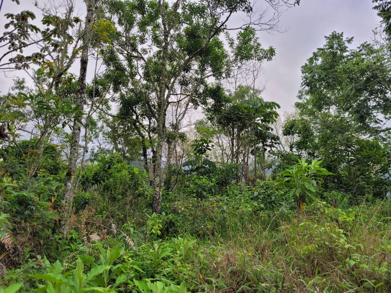 Terreno à venda de 2 ha em São José dos Campos, SP, Brasil