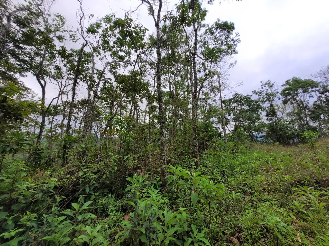Terreno à venda de 2 ha em São José dos Campos, SP, Brasil