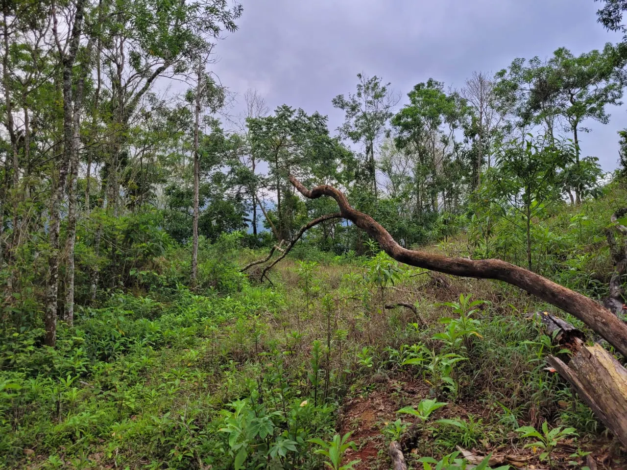 Terreno à venda de 2 ha em São José dos Campos, SP, Brasil