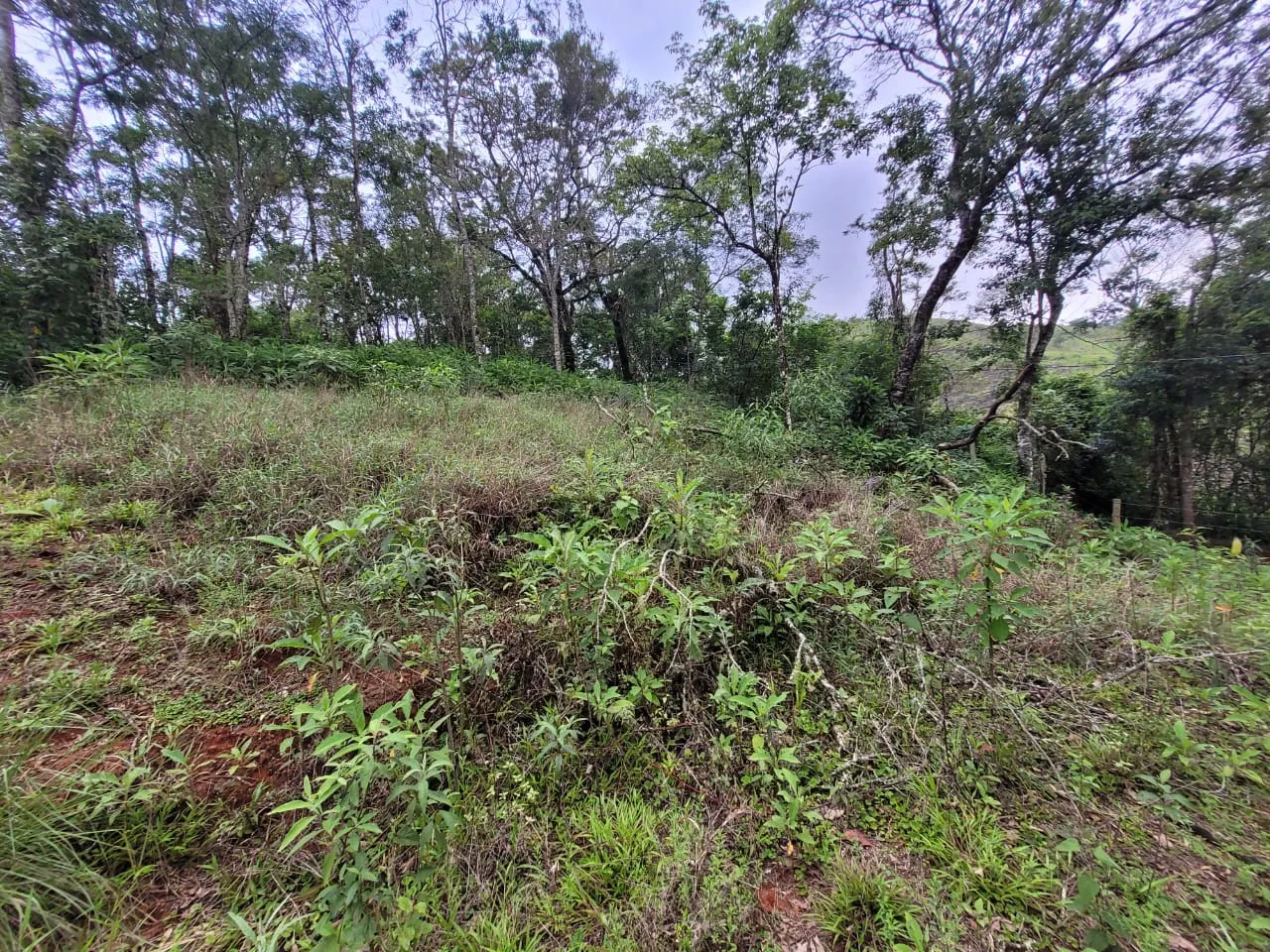 Terreno à venda de 2 ha em São José dos Campos, SP, Brasil