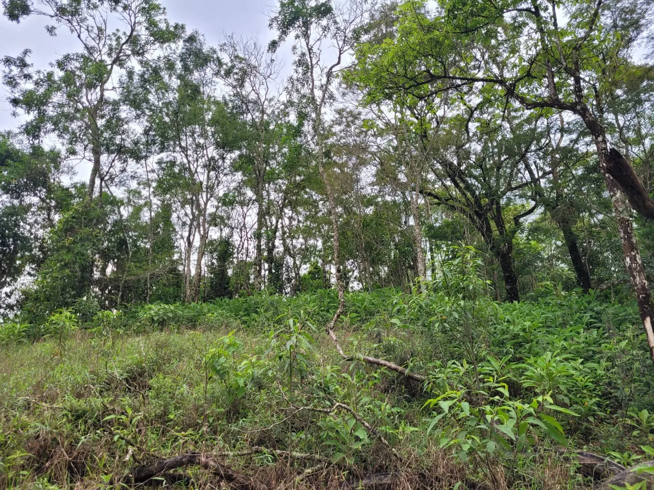 Terreno à venda de 2 ha em São José dos Campos, SP, Brasil