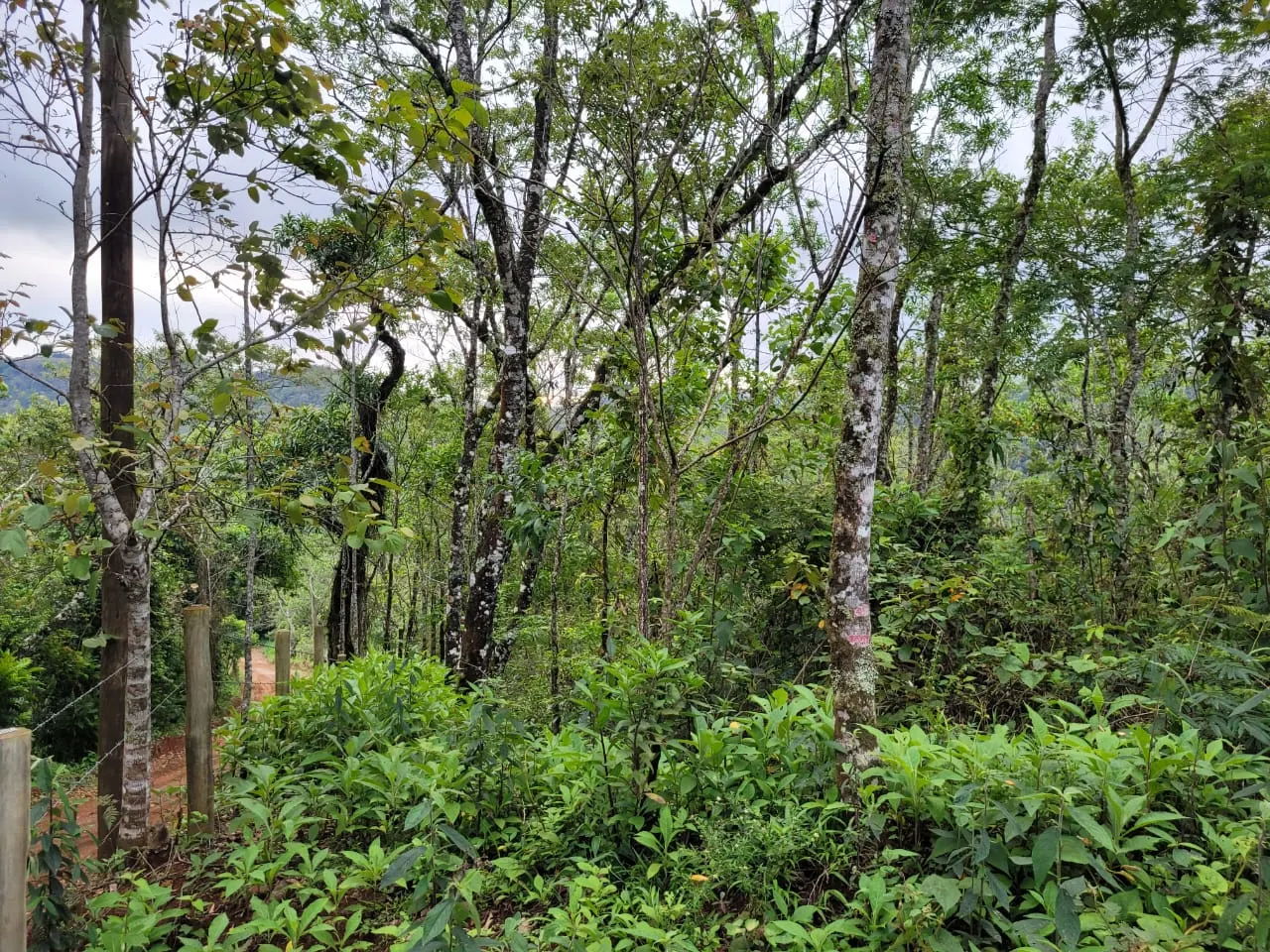 Terreno à venda de 2 ha em São José dos Campos, SP, Brasil
