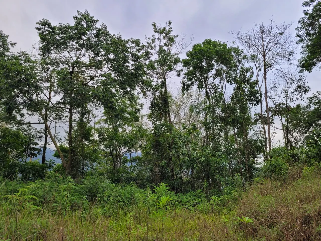 Terreno à venda de 2 ha em São José dos Campos, SP, Brasil
