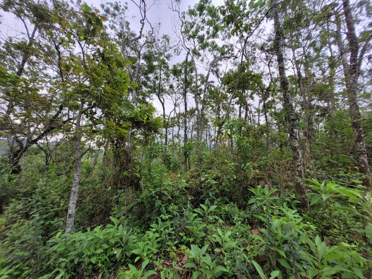 Terreno à venda de 2 ha em São José dos Campos, SP, Brasil