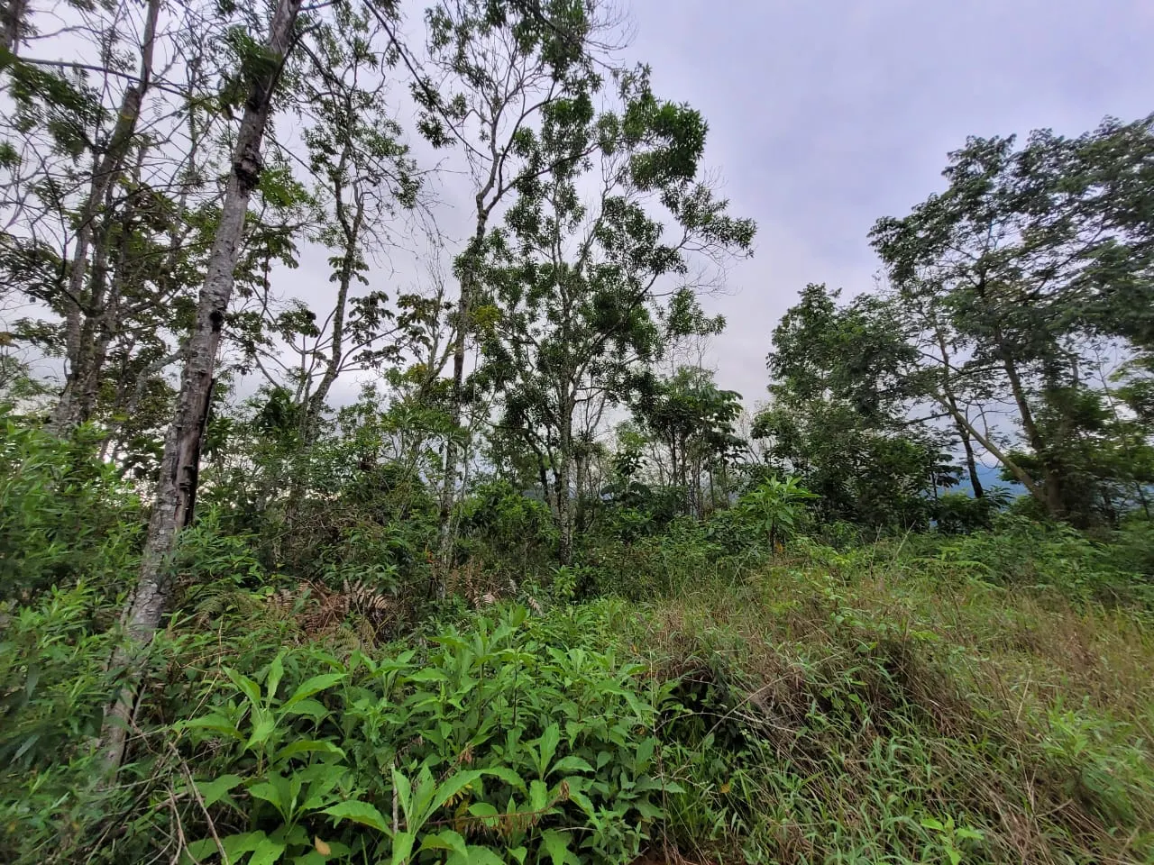 Terreno à venda de 2 ha em São José dos Campos, SP, Brasil