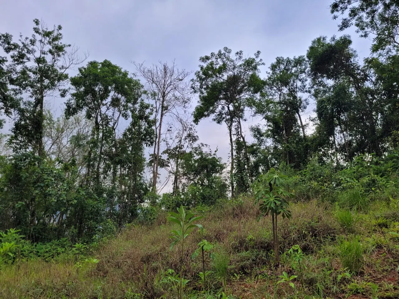 Terreno à venda de 2 ha em São José dos Campos, SP, Brasil
