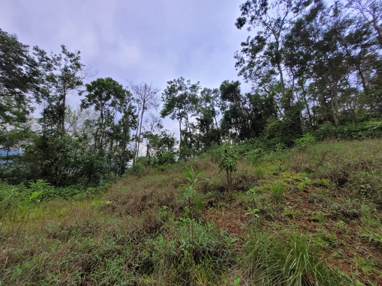 Terreno à venda de 2 ha em São José dos Campos, SP, Brasil