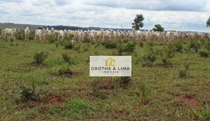 Fazenda à venda de 3.625 ha em Nova Andradina, MS, Brasil