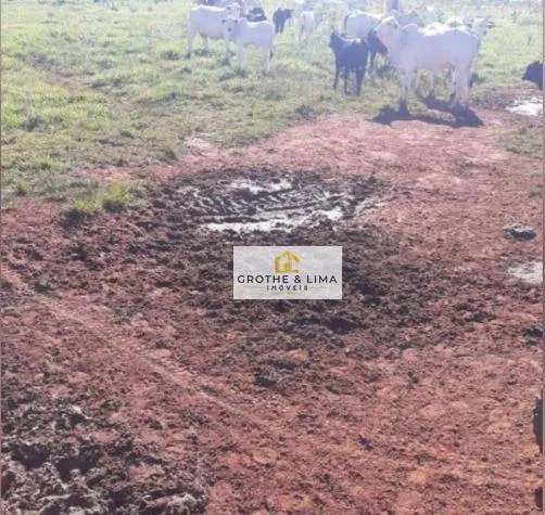 Fazenda à venda de 3.625 ha em Nova Andradina, MS, Brasil