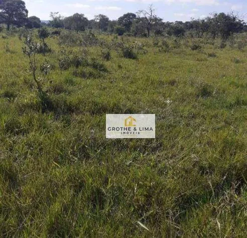 Fazenda à venda de 3.625 ha em Nova Andradina, MS, Brasil