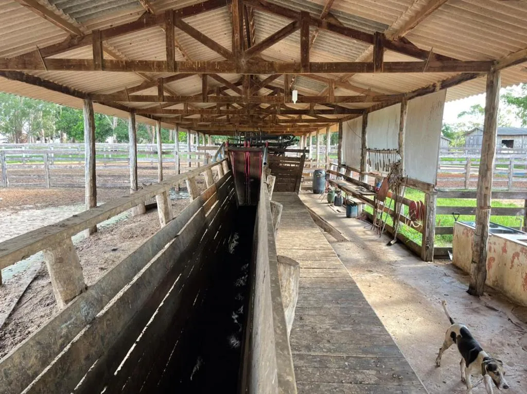 Fazenda à venda de 7.100 ha em Alcinópolis, MS, Brasil