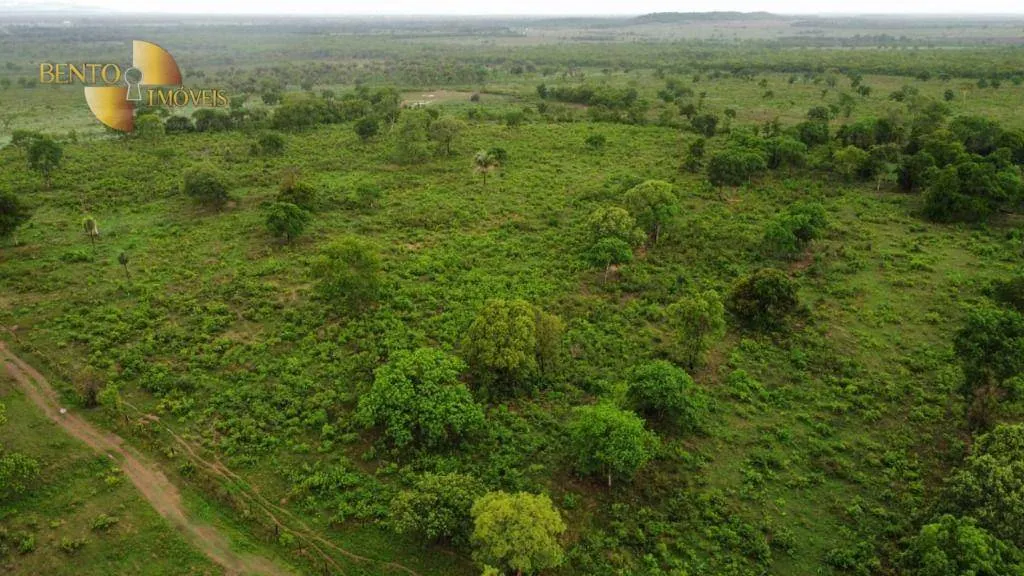 Fazenda à venda de 840 ha em Cuiabá, MT, Brasil