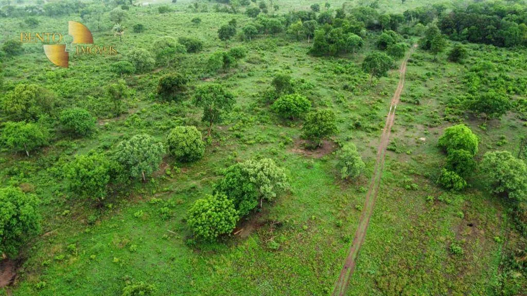 Fazenda à venda de 840 ha em Cuiabá, MT, Brasil