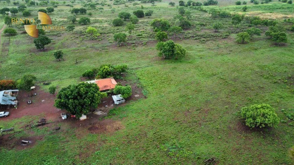 Fazenda à venda de 840 ha em Cuiabá, MT, Brasil