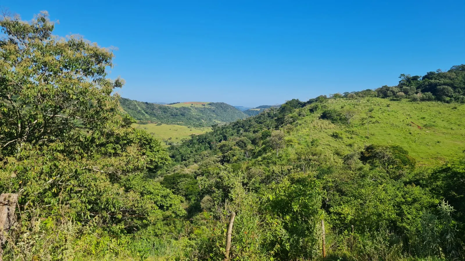 Fazenda à venda de 387 ha em Timburi, SP, Brasil