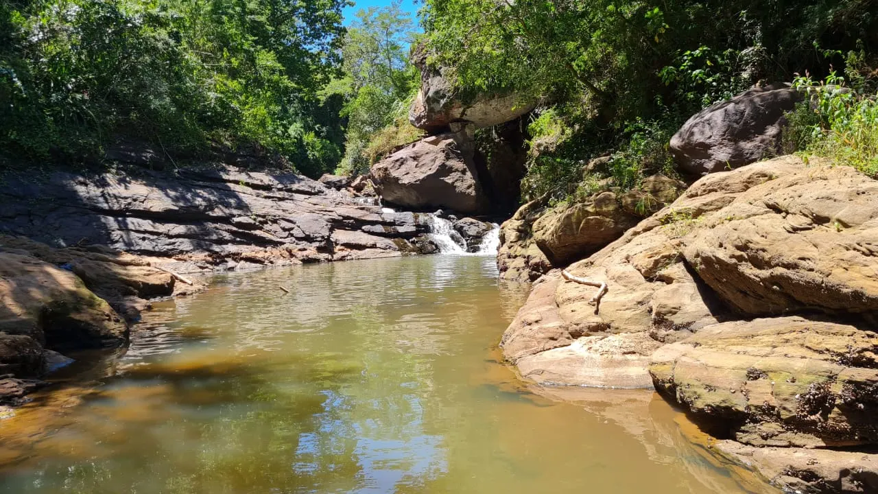 Fazenda à venda de 387 ha em Timburi, SP, Brasil