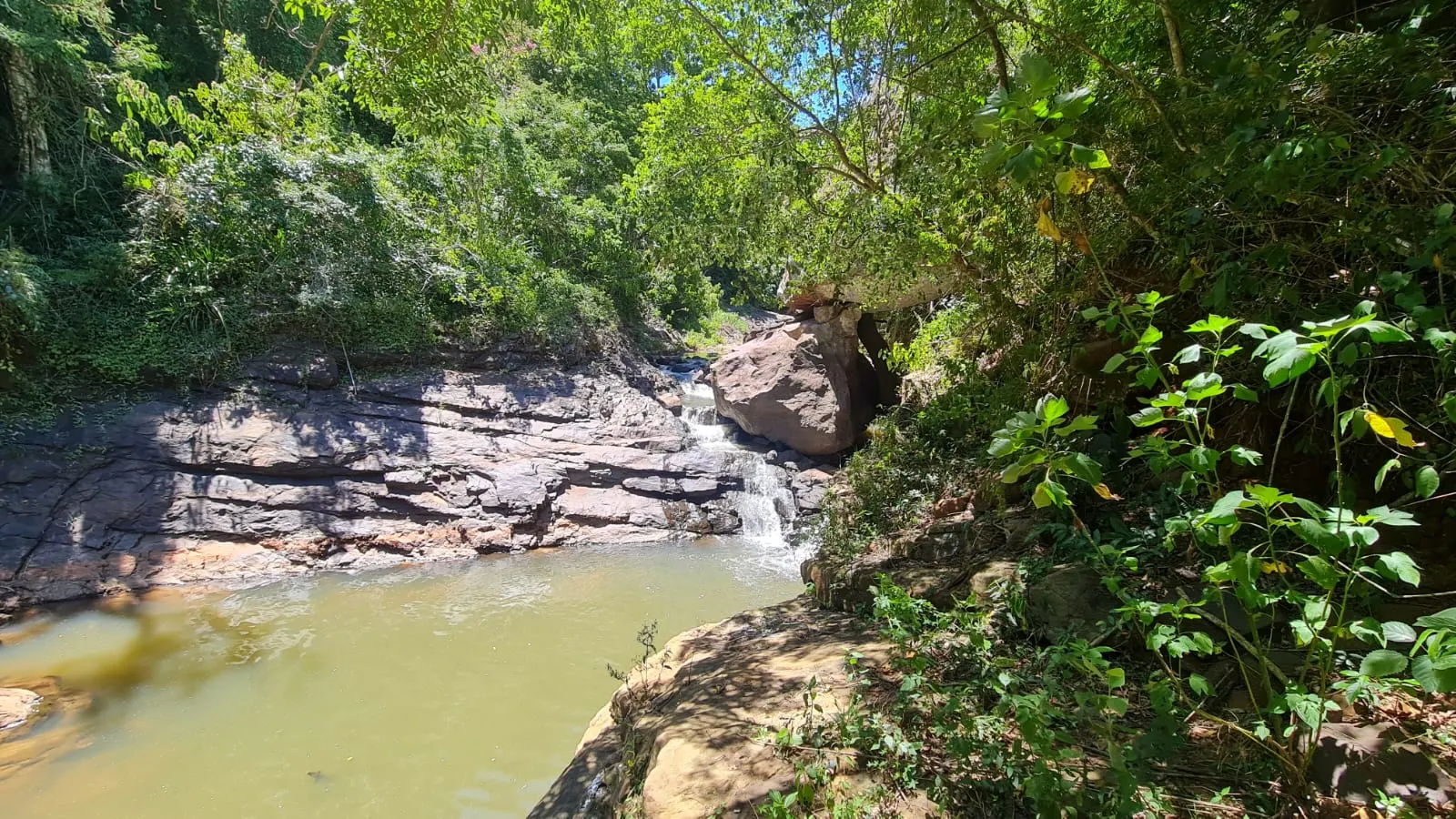 Fazenda à venda de 387 ha em Timburi, SP, Brasil