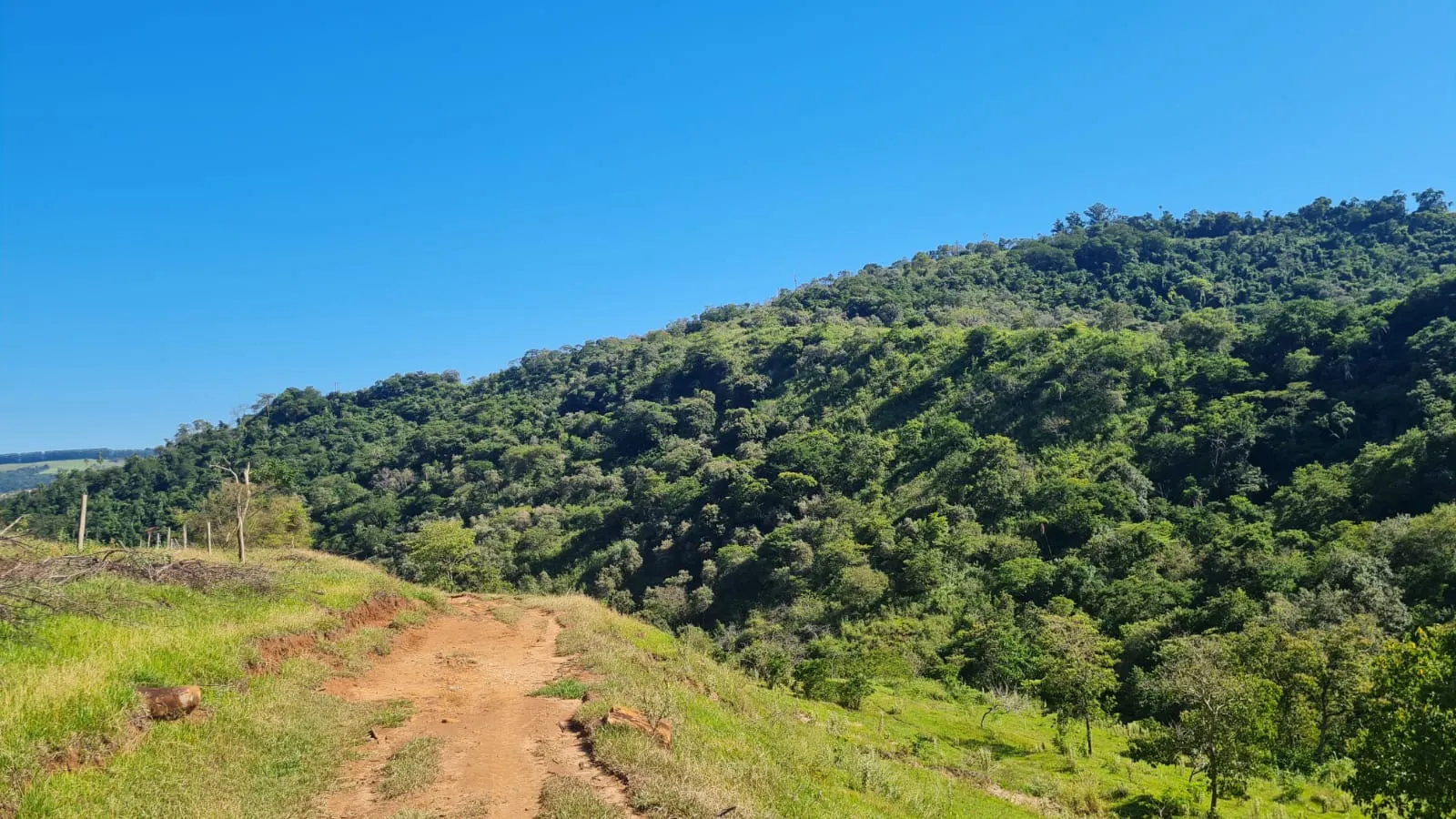 Fazenda à venda de 387 ha em Timburi, SP, Brasil