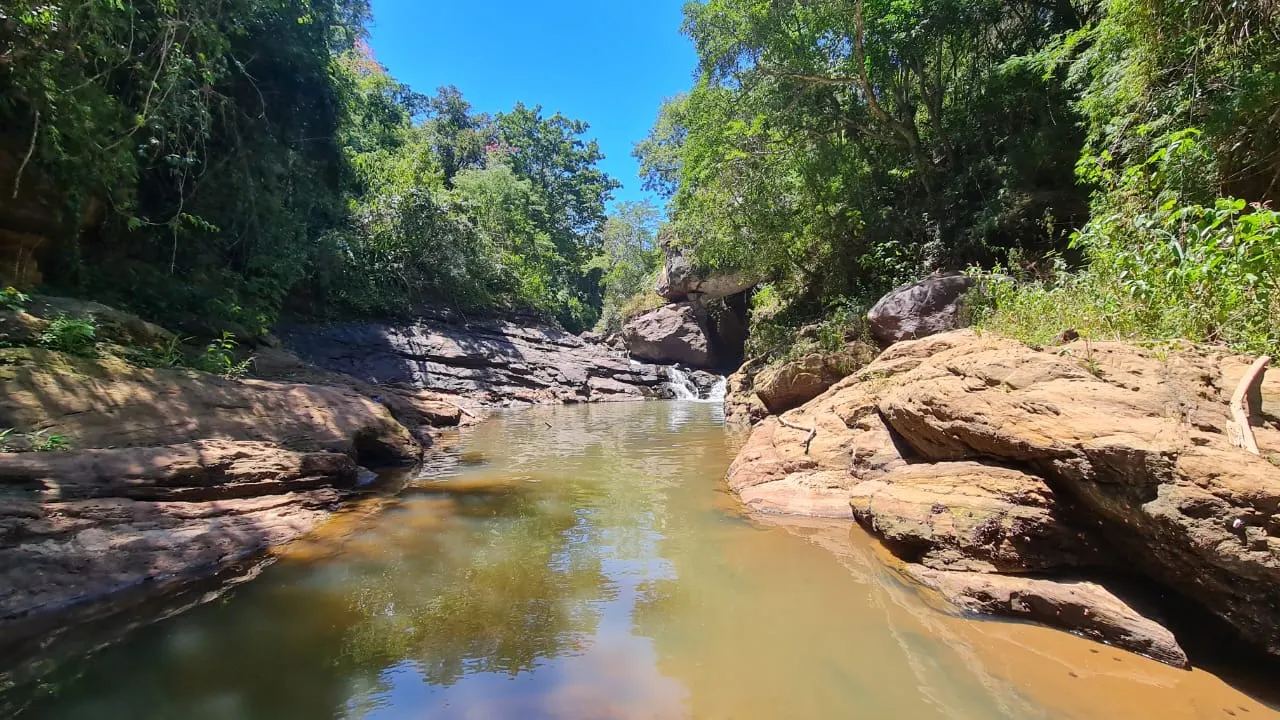 Fazenda à venda de 387 ha em Timburi, SP, Brasil