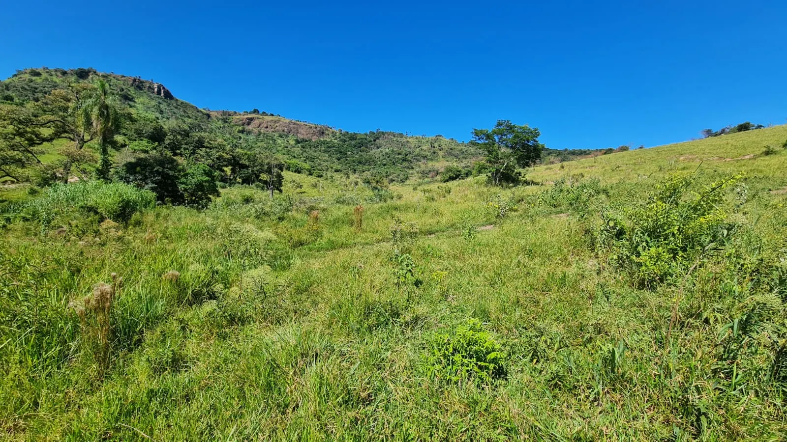 Fazenda à venda de 387 ha em Timburi, SP, Brasil