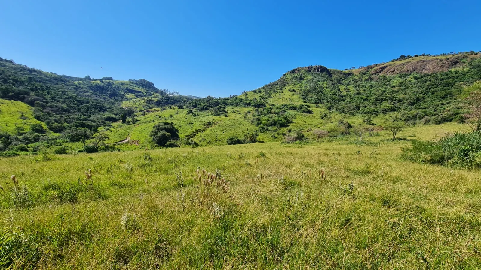 Fazenda à venda de 387 ha em Timburi, SP, Brasil