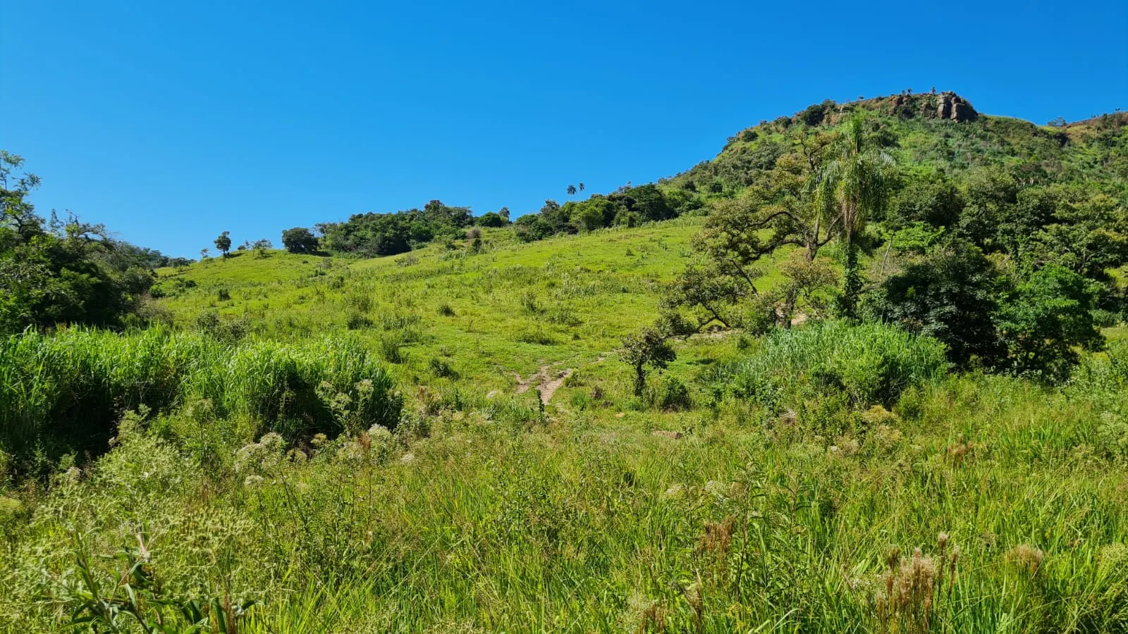 Fazenda à venda de 387 ha em Timburi, SP, Brasil