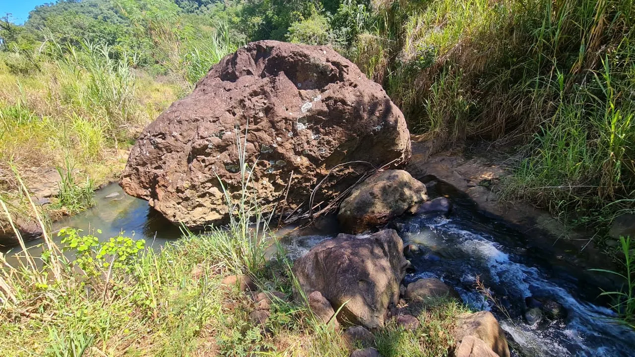 Fazenda à venda de 387 ha em Timburi, SP, Brasil