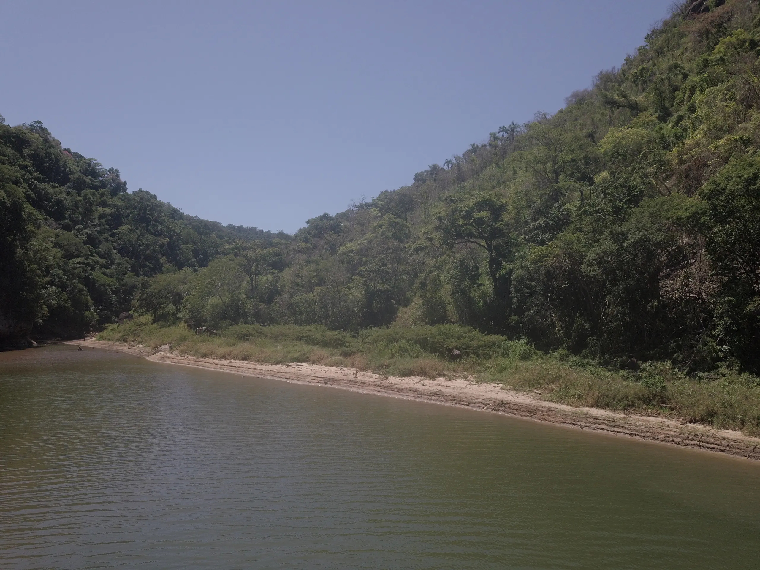 Fazenda à venda de 387 ha em Timburi, SP, Brasil