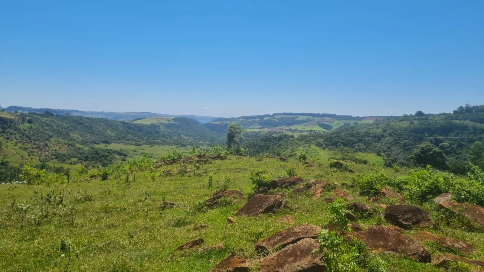 Fazenda à venda de 387 ha em Timburi, SP, Brasil