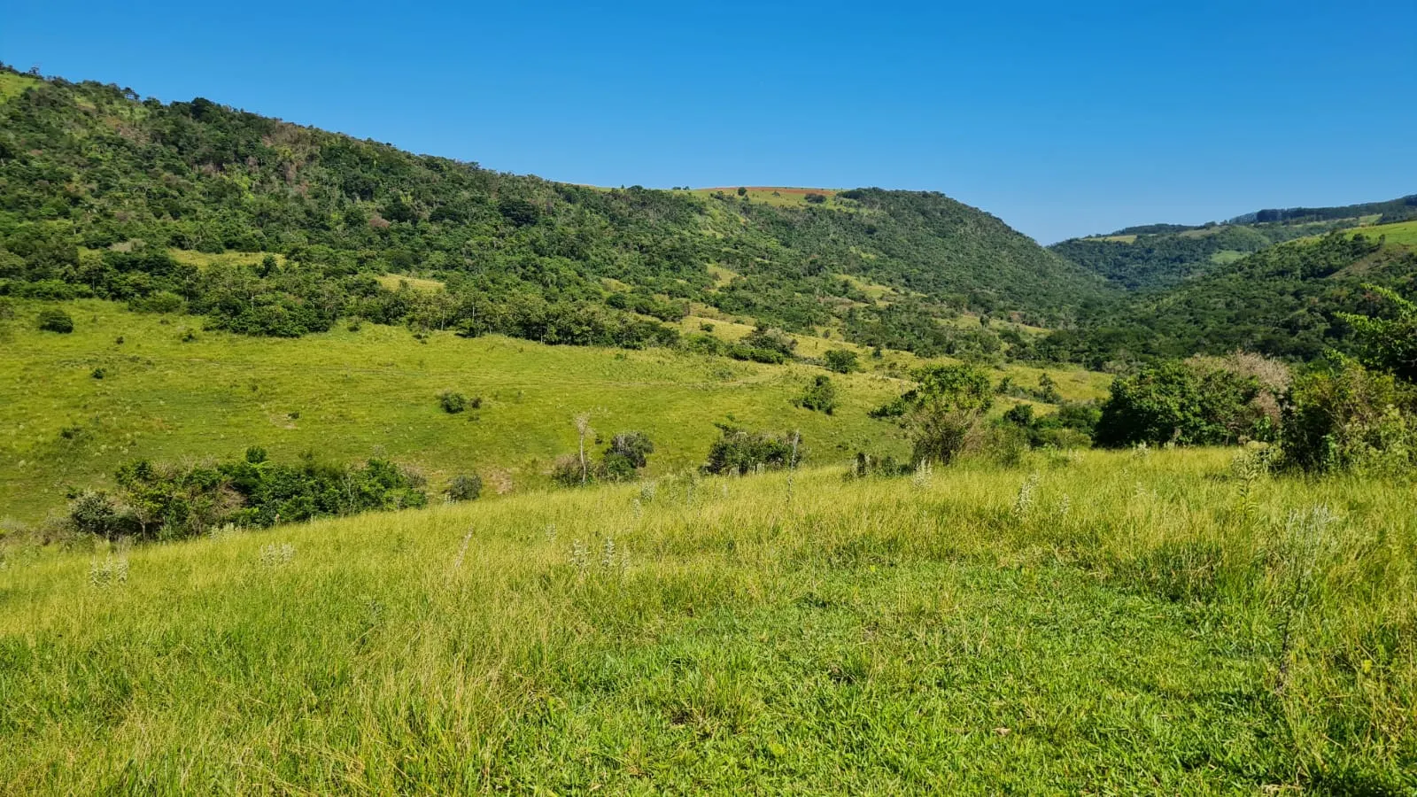 Fazenda à venda de 387 ha em Timburi, SP, Brasil