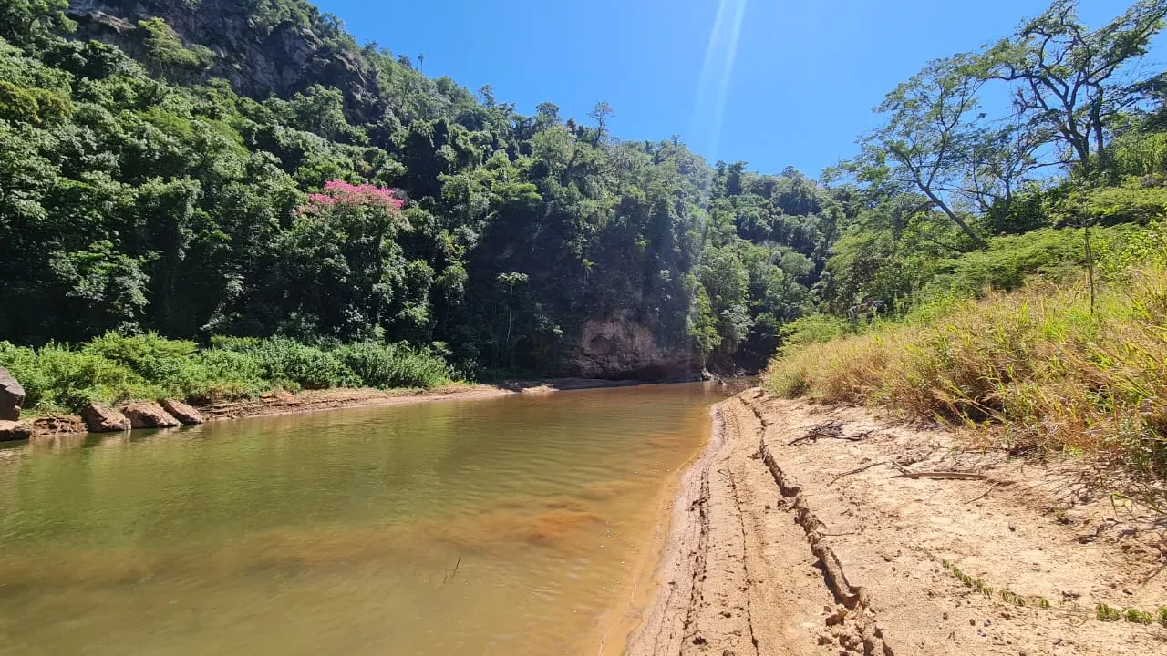 Fazenda à venda de 387 ha em Timburi, SP, Brasil