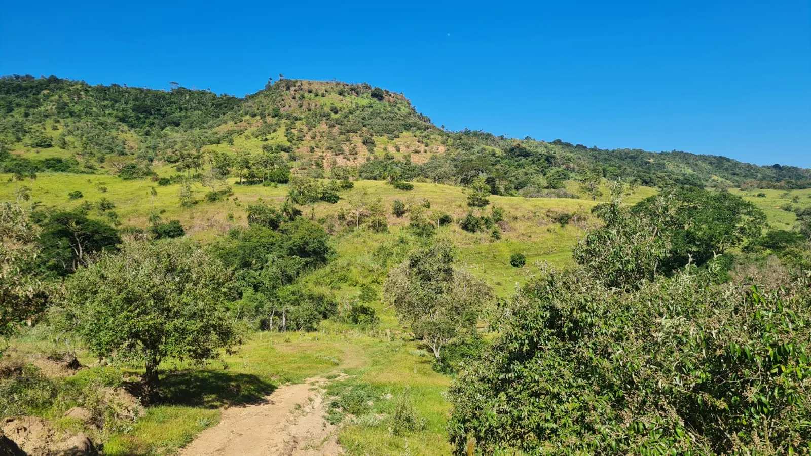 Fazenda à venda de 387 ha em Timburi, SP, Brasil