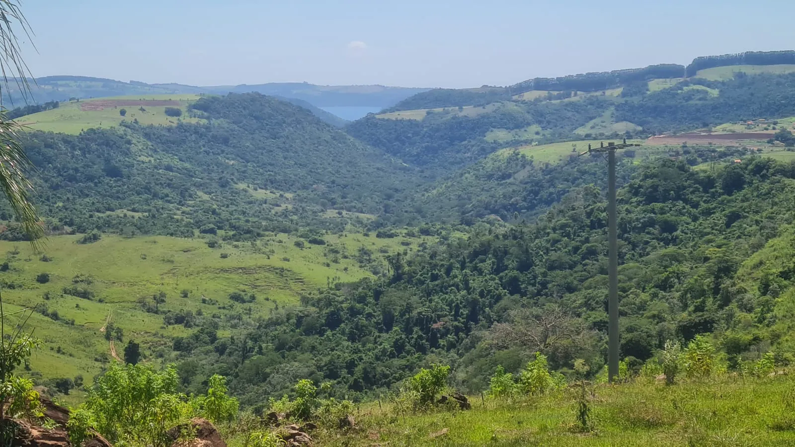 Fazenda à venda de 387 ha em Timburi, SP, Brasil