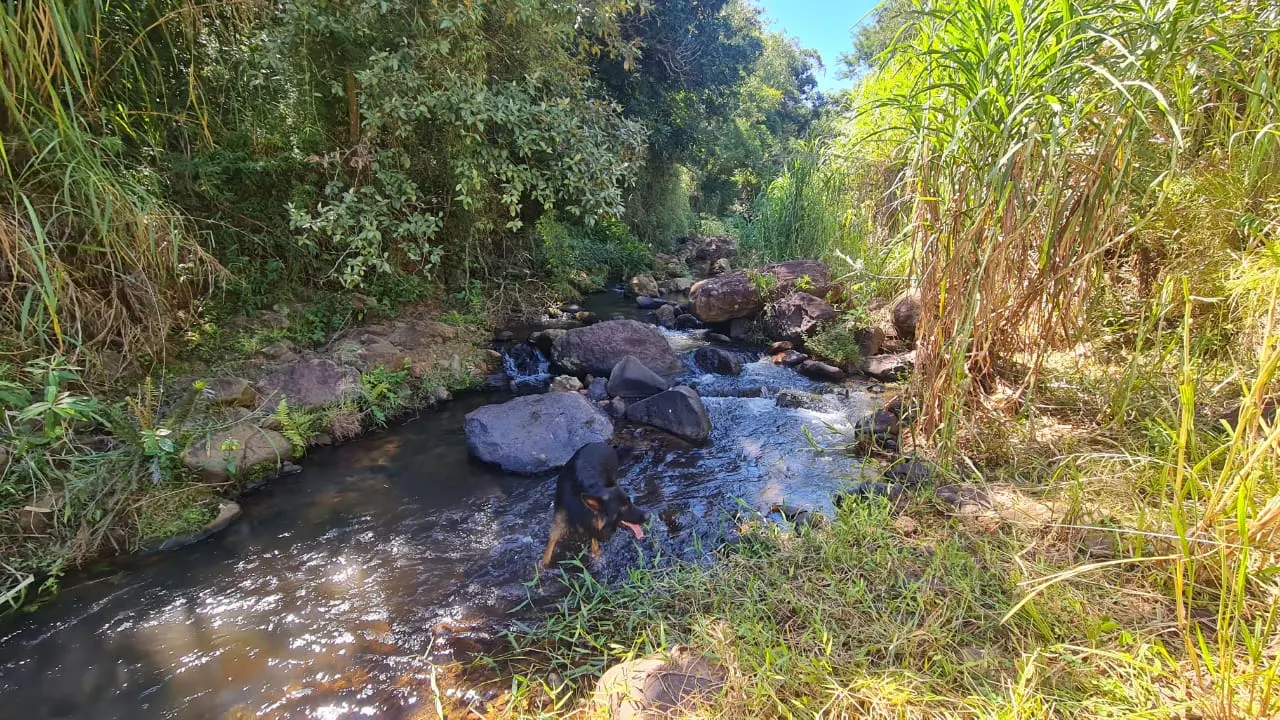 Fazenda à venda de 387 ha em Timburi, SP, Brasil