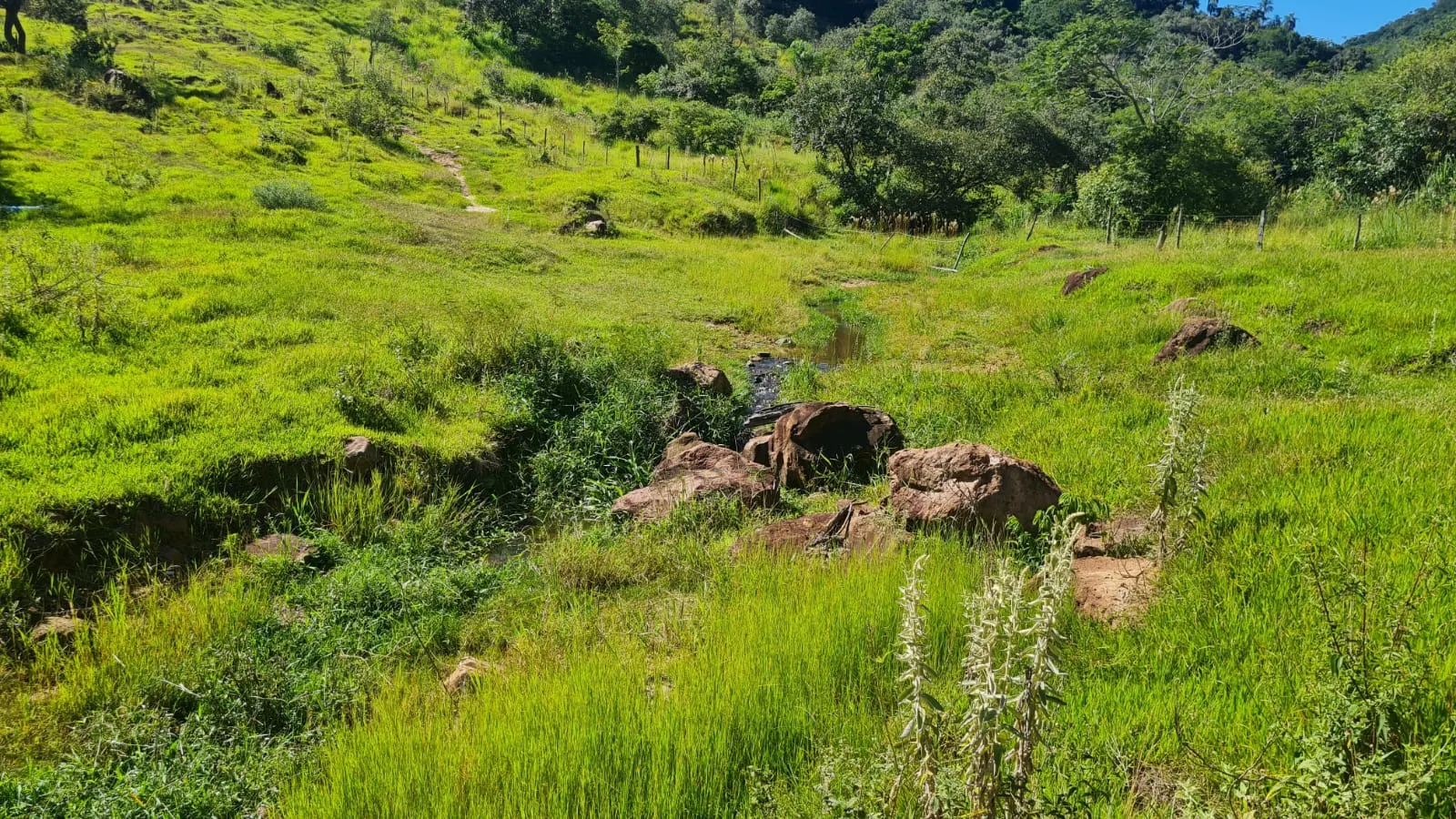 Fazenda à venda de 387 ha em Timburi, SP, Brasil