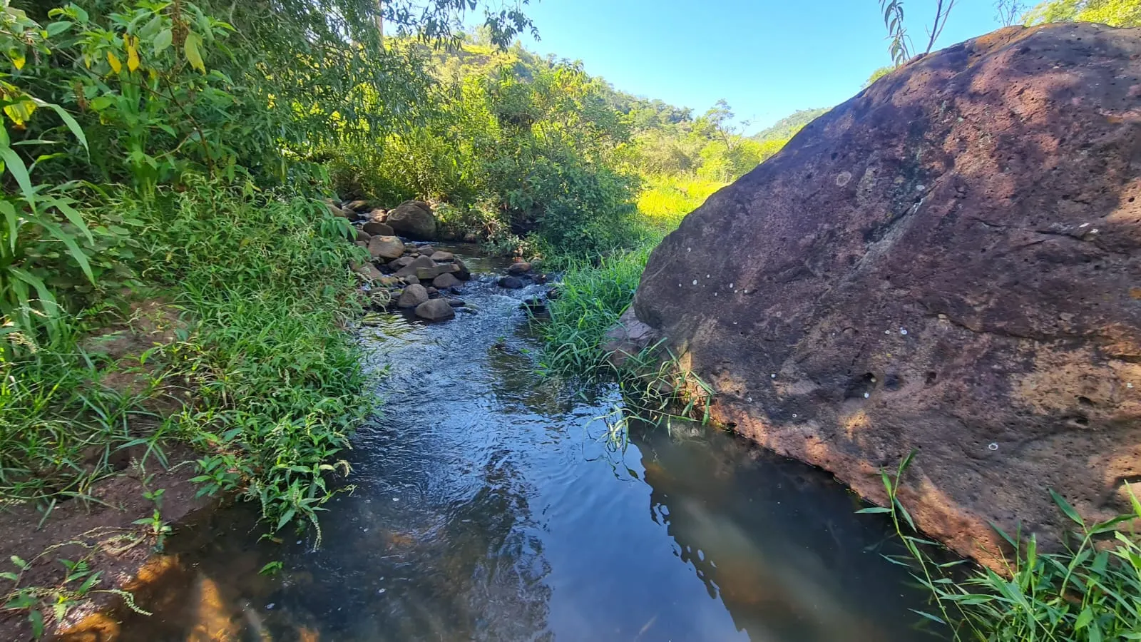 Fazenda à venda de 387 ha em Timburi, SP, Brasil